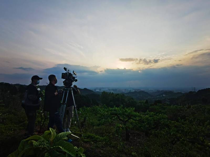 聚焦巴林左旗产品宣传视频拍摄公司，用专业实力铸就品牌传播传奇